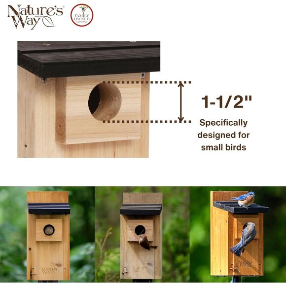 Bird Products Cedar Bluebird Box House - Picture 5 of 6